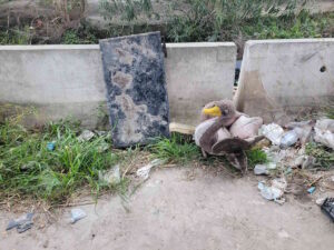 MrGreen, il custode dell'ambiente sfida freddo e maltempo per la sua missione