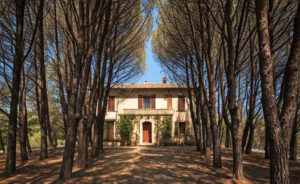 Rosignano, prevenzione incendi boschivi: come gestire gli spazi verdi intorno alla casa