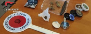 Rimigliano, spaccio nei boschi: 5 persone segnalate
