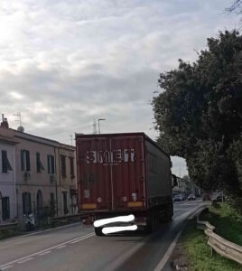Stagno, residenti esasperati: “Alberi potati dai tir, segnaletica nascosta e fermate bus nella giungla”