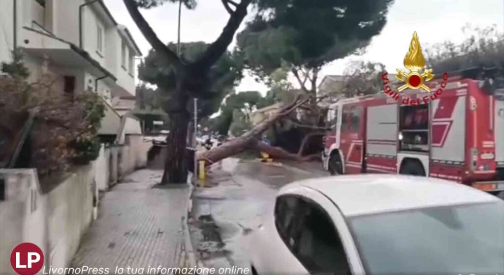 Maltempo, squadre dei vigili del fuoco impegnate per soccorsi, video operazioni a Cecina