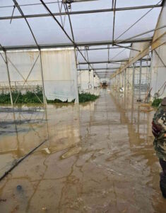 "Con lo scolmatore si sacrifica un territorio caratterizzato da numerose aziende agricole, così non si può più andare avanti. In serra è tutto morto"