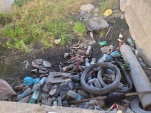 Pulizia sotto il Ponte del Calambrone l’impegno di Rebecca e Mr. Green per un ambiente più sano