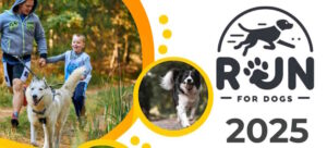 Torna la Run for dogs, corsa a 6 gambe con partenza dal parco del Mulino
