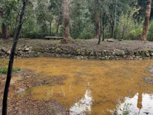 Torna l'acqua nel laghetto di Villa Rodocanacchi, Reset Livorno festeggia un nuovo successo