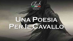 Un livornese vince il Premio Club Cavallo Italia 2024 con una poesia dedicata ai cavalli