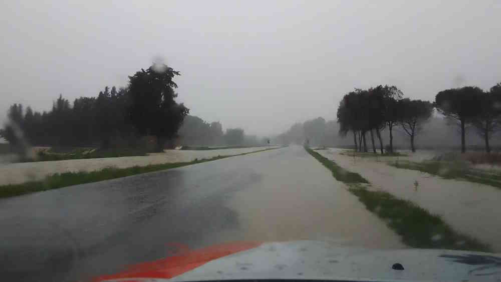 𝐴𝑔𝑔𝑖𝑜𝑟𝑛𝑎𝑚𝑒𝑛𝑡𝑜 𝑜𝑟𝑒 16.40 ➡Le squadre della Protezione Civile Comunale stanno effettuando il monitoraggio del territorio al fine di rilevare tutte le criticità particolare riguardo alla percorribilità delle strade e ai corsi d’acqua. - Zona Tanna esondato il torrente Isola - Allagamenti Zona industriale Collesalvetti - Via delle Sorgenti allagata - Via della Cerreta non percorribile nel tratto centrale - Via Nugola Nuova, tratto Scuola Primaria ➡In caso di emergenza è possibile contattare la Protezione Civile al seguente numero 0586980125