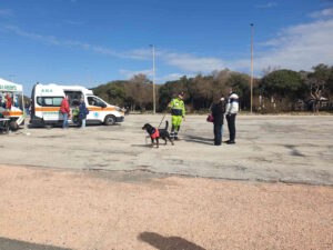 Successo per il gazebo a favore dei cani del Canile Comunale e dei gatti della RSA "La Guglia"
