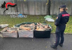 Pesca con la ripaiola, 2000 euro di multa ad un 70enne