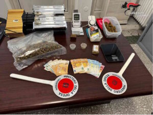 Arrestato un cecinese e denunciata la moglie, coltivavano stupefacenti