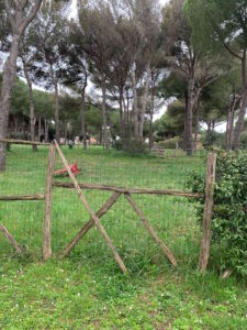 Castiglioncello, proposta per un'area cani alle Spianate: mozione del consigliere Scarascia