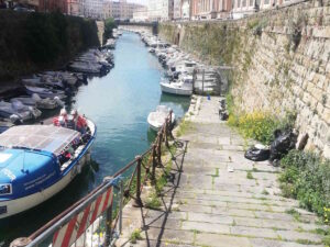 Fossi, l’Autorità Portuale non toglie i rifiuti e non taglia la vegetazione