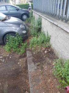 Marciapiede di via Roma: Aamps interviene per quanto di sua competenza, bottiglie tolte restano le erbacce