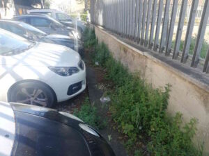 Via Roma, marciapiede invaso da erbacce e bottiglie pedoni costretti sulla carreggiata