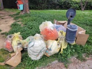 Con MisterGreen al parco Centro Città, un successo di sensibilizzazione per la 1H del Vespucci-Colombo