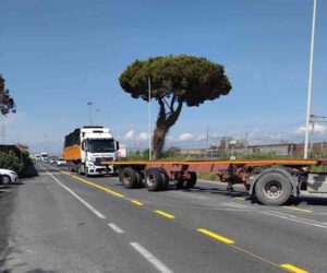 "Ciclabili inutili e pericolose, sono solo frutto di politiche ideologiche"