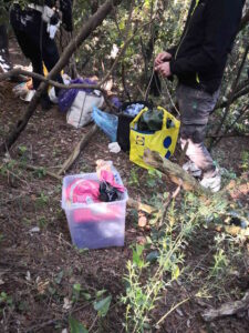 Smatellati bivacchi nel bosco a Castiglioncello, materiale sequestrato