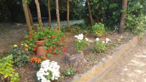 Autismo, i ragazzi di Livorno e Rosignano protagonisti del progetto di giardinaggio a Quercianella