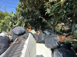 Via dei Pelaghi, individuati due responsabili dell'abbandono di rifiuti. "Anziani inconsapevoli e Svuota-cantine nel mirino?"