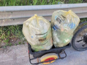 Festa della Repubblica? Per Mr. Green è stata una festa dell’ambiente