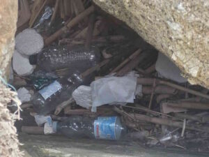 Plastica tra gli scogli, MisterGreen: "I cestini ci sono, usateli"