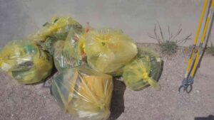 Scogli di Ardenza più puliti graze a MisterGreen, Porto Pulito e cittadini