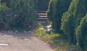 Via dei Pelaghi torna discarica: “Sindaco, basta bonifiche, serve un’azione decisiva del Comune”