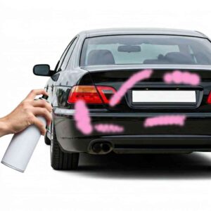 "Arte incompresa, giovane artista" denunciato e avviata espulsione