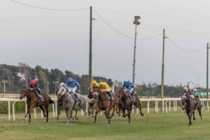 Caprilli, la coppa Santa Giulia è di Fiamma dei Grif. Un successo femminile a 4 zampe per l'inaugurazione della stagione estiva
