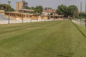 Ippodromo Caprilli, il curatore Tocci: “Si va avanti grazie al gioco di squadra”