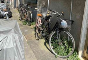 ACI Livorno: “Questa città ha bisogno di essere curata e tenuta bene”