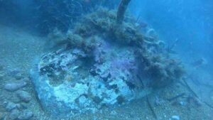 Livorno, siluro fatto brillare al largo dei bagni Fiume