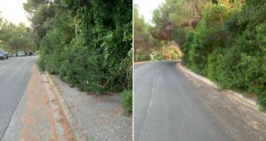 Marciapiedi invasi da vegetazione a Castiglioncello, sicurezza a rischio per pedoni. Scarascia (FdI) presenta una mozione