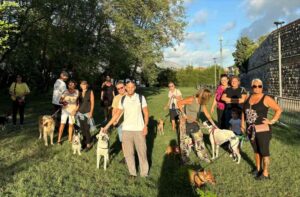 Parco Mura Lorenesi dopo un anno nessuna fontana d’acqua potabile chiesta dai residenti.