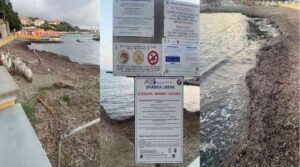 Alghe in decomposizione sulle spiagge libere di Castiglioncello: la denuncia del consigliere Scarascia