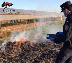 Combustione illecita di rifiuti, denunciate tre persone all'Isola d'Elba