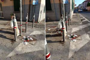 Rifiuti appesi, gabbiani, sacchi rotti e umido sparso a terra. L'ennesima segnalazione di cittadini stanchi