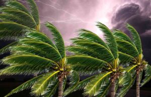 Meteo, codice giallo prorogato, c'è anche vento forte