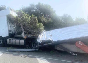 Castiglioncello, tir distrutto da un albero, conducente illeso (Foto)