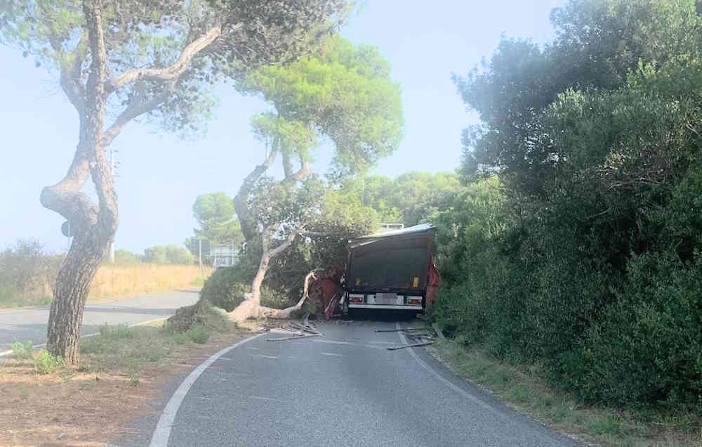 Castiglioncello, tir distrutto da un albero, conducente illeso (Foto)