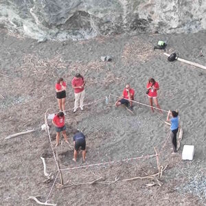 Dal nido alla schiusa: Rosignano lancia un piano per proteggere le Caretta caretta