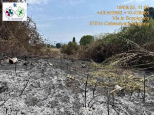 Incendio nella notte a Guasticce vicino a un rudere