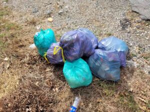 MrGreen ripulisce il Cisternino “La natura ci rispetterà solo se noi rispettiamo lei”