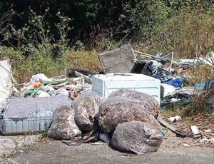 "Niente di nuovo sul fronte occidentale" di via di Popogna: la guerra all’abbandono dei rifiuti è sempre la stessa