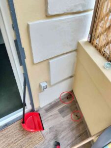 "Invasione di scarafaggi" in Borgo": ora dalla strada anche in casa a causa di sporcizia e spazzatura