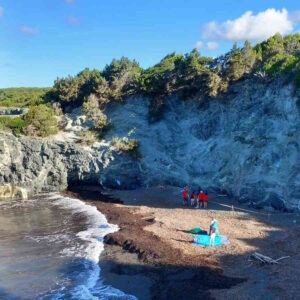 Santa Lucia e Cala Arancio: scoperti nidi di tartaruga marina, spostati per proteggerli