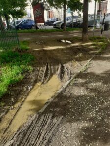 Piazza della Vittoria, l’appello dell’associazione Alca ad Aamps: “Non vi segnaleremo più i danni alle aiuole, siamo stanchi"