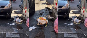 Colazione, pranzo e cena al sacco: aperto 24 ore in piazza Barontini