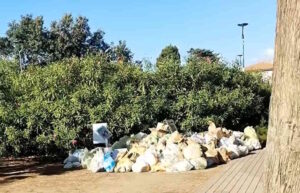 Cecina, Tenerini: "il porta a porta diventa porta a mucchio, la foto parla da sola"