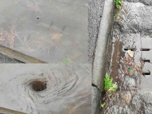 Allagamenti evitabili a Livorno: "le fogne funzionano, basterebbe raccogliere le foglie"